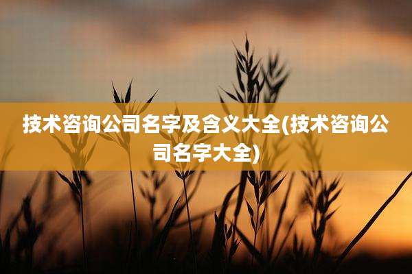 技术咨询公司名字及含义大全(技术咨询公司名字大全)