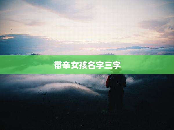 带辛女孩名字三字
