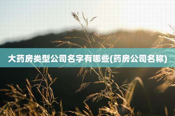 大药房类型公司名字有哪些(药房公司名称)