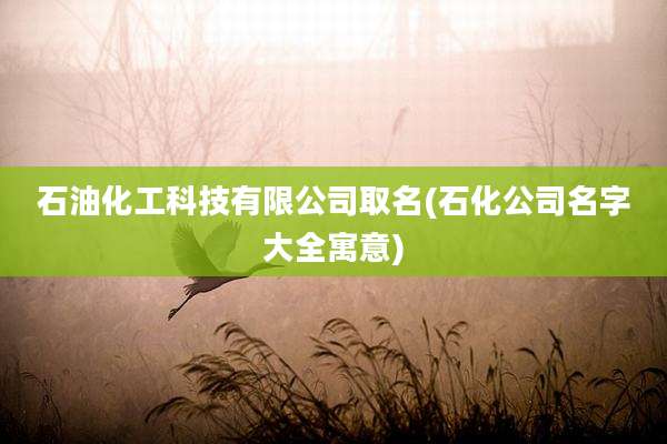石油化工科技有限公司取名(石化公司名字大全寓意)
