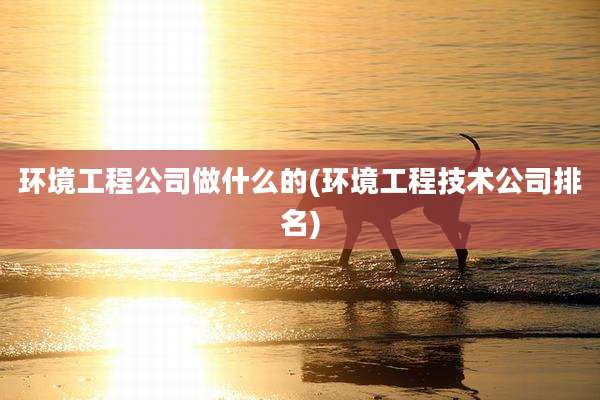 环境工程公司做什么的(环境工程技术公司排名)