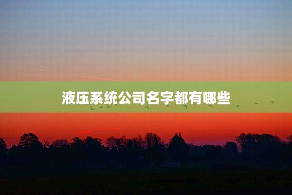液压系统公司名字都有哪些