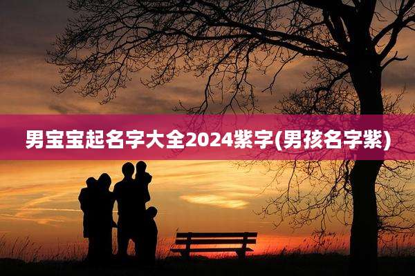 男宝宝起名字大全2024紫字(男孩名字紫)