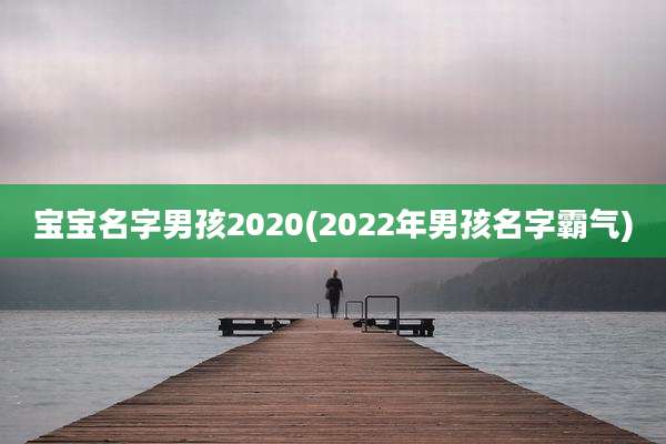 宝宝名字男孩2020(2022年男孩名字霸气)
