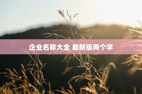 企业名称大全 最新版两个字