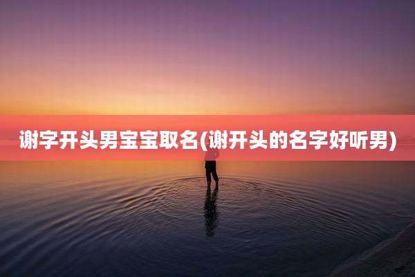 谢字开头男宝宝取名(谢开头的名字好听男)