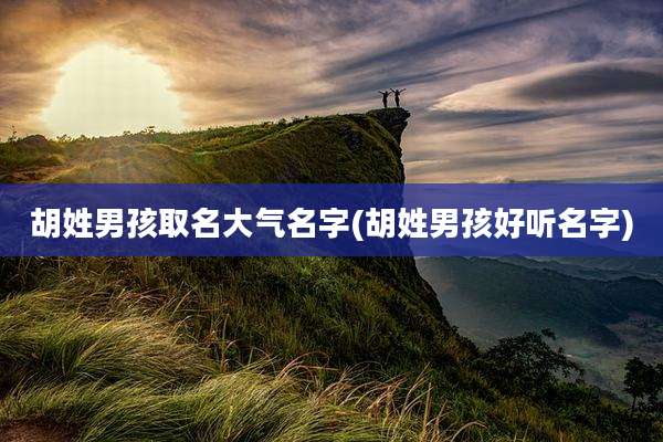 胡姓男孩取名大气名字(胡姓男孩好听名字)