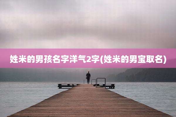 姓米的男孩名字洋气2字(姓米的男宝取名)