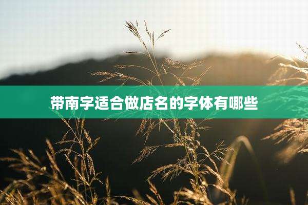 带南字适合做店名的字体有哪些