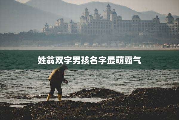 姓翁双字男孩名字最萌霸气