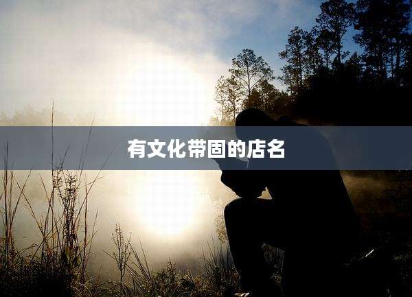 有文化带固的店名