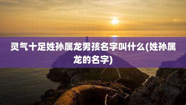 灵气十足姓孙属龙男孩名字叫什么(姓孙属龙的名字)