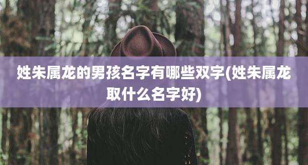 姓朱属龙的男孩名字有哪些双字(姓朱属龙取什么名字好)