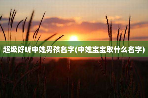 超级好听申姓男孩名字(申姓宝宝取什么名字)