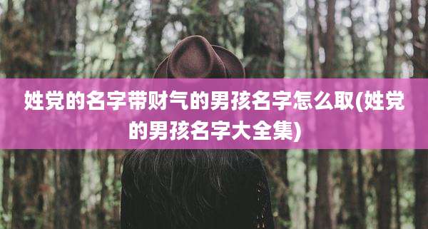 姓党的名字带财气的男孩名字怎么取(姓党的男孩名字大全集)