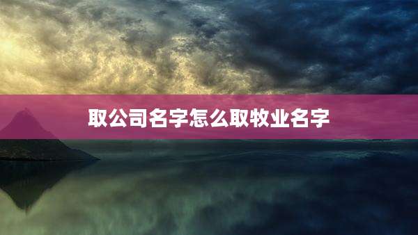 取公司名字怎么取牧业名字