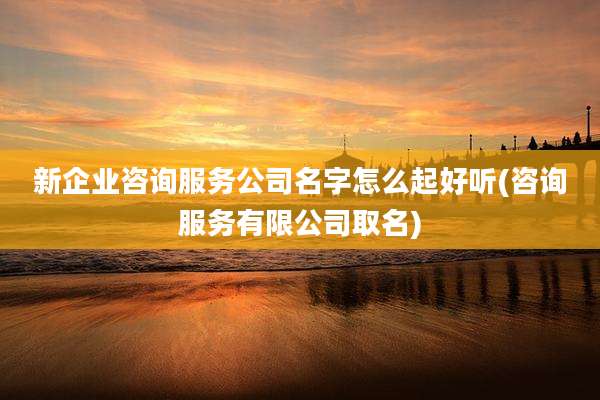 新企业咨询服务公司名字怎么起好听(咨询服务有限公司取名)