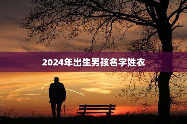 2024年出生男孩名字姓衣