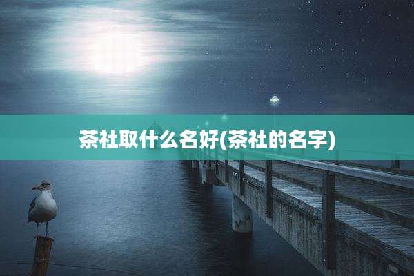 茶社取什么名好(茶社的名字)