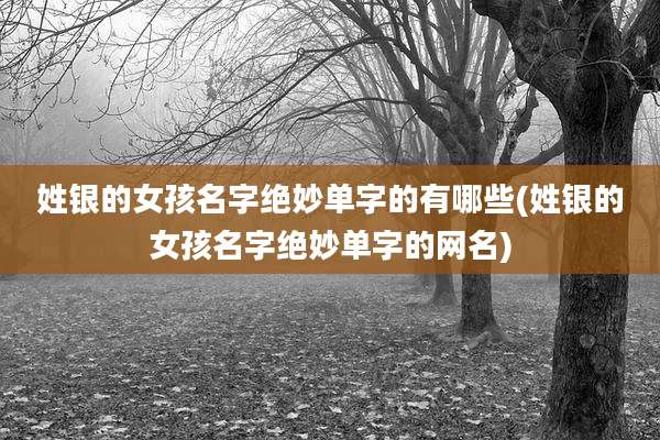姓银的女孩名字绝妙单字的有哪些(姓银的女孩名字绝妙单字的网名)