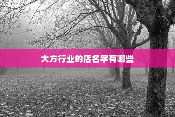 大方行业的店名字有哪些
