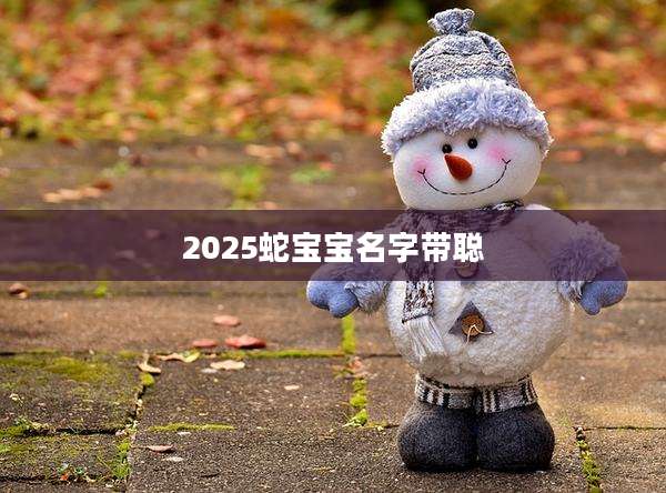 2025蛇宝宝名字带聪