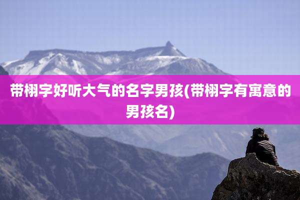 带栩字好听大气的名字男孩(带栩字有寓意的男孩名)