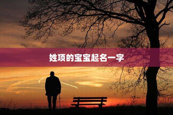 姓项的宝宝起名一字