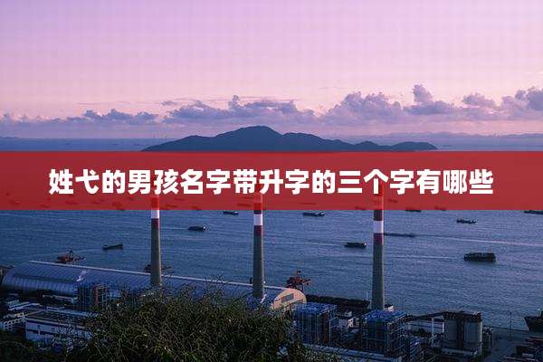 姓弋的男孩名字带升字的三个字有哪些