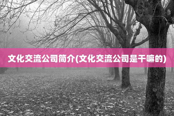 文化交流公司简介(文化交流公司是干嘛的)