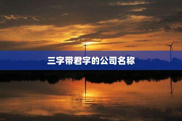 三字带君字的公司名称