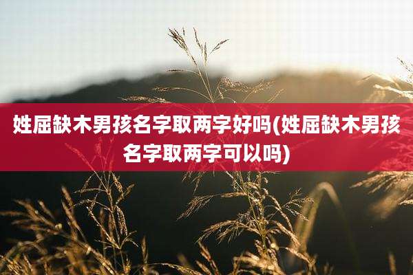 姓屈缺木男孩名字取两字好吗(姓屈缺木男孩名字取两字可以吗)