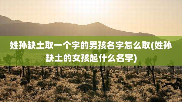 姓孙缺土取一个字的男孩名字怎么取(姓孙缺土的女孩起什么名字)