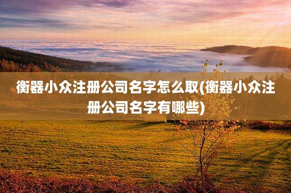 衡器小众注册公司名字怎么取(衡器小众注册公司名字有哪些)