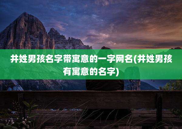 井姓男孩名字带寓意的一字网名(井姓男孩有寓意的名字)