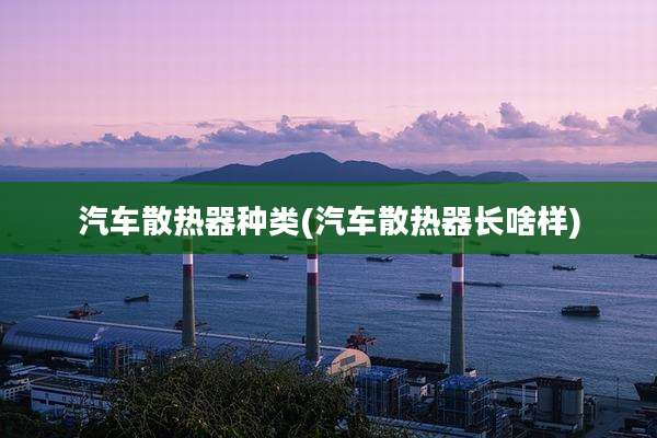 汽车散热器种类(汽车散热器长啥样)