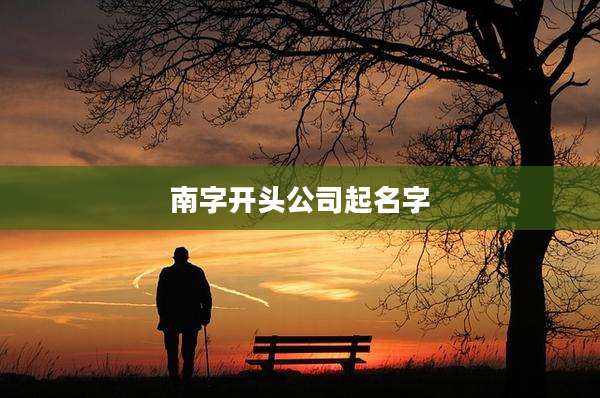 南字开头公司起名字