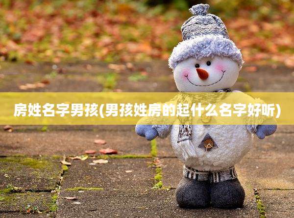 房姓名字男孩(男孩姓房的起什么名字好听)