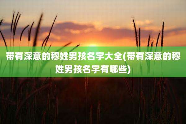 带有深意的穆姓男孩名字大全(带有深意的穆姓男孩名字有哪些)