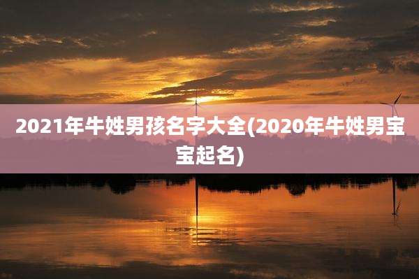 2021年牛姓男孩名字大全(2020年牛姓男宝宝起名)