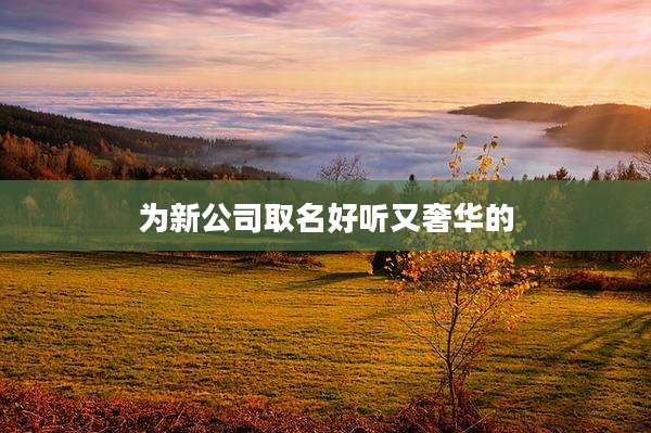 为新公司取名好听又奢华的