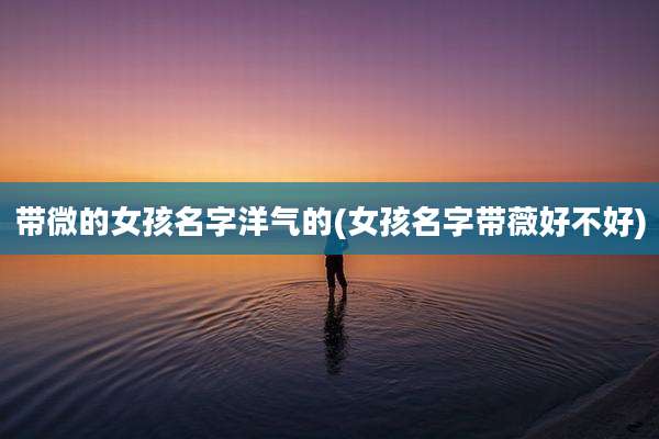 带微的女孩名字洋气的(女孩名字带薇好不好)