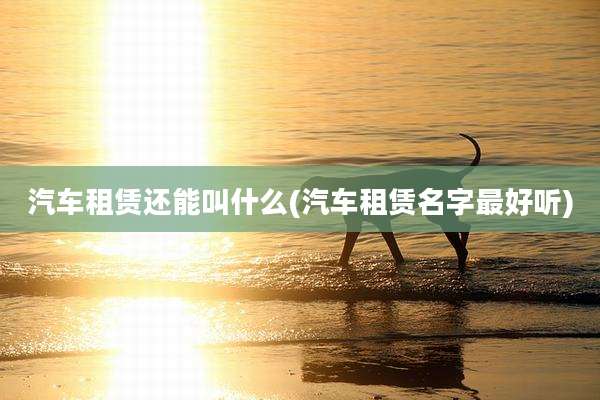 汽车租赁还能叫什么(汽车租赁名字最好听)