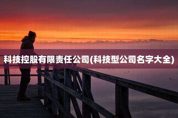 科技控股有限责任公司(科技型公司名字大全)