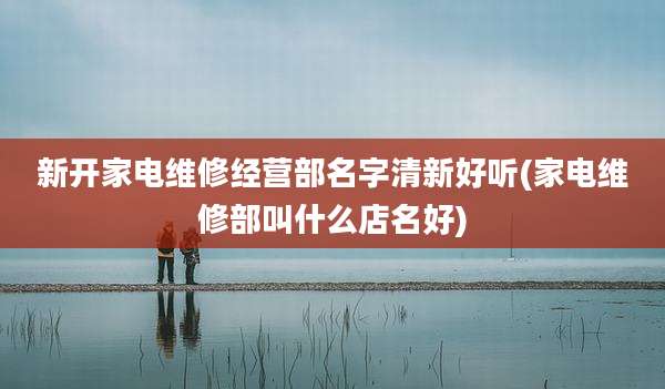 新开家电维修经营部名字清新好听(家电维修部叫什么店名好)