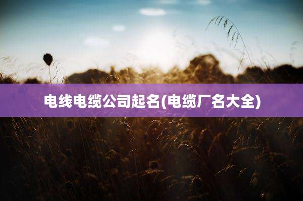 电线电缆公司起名(电缆厂名大全)
