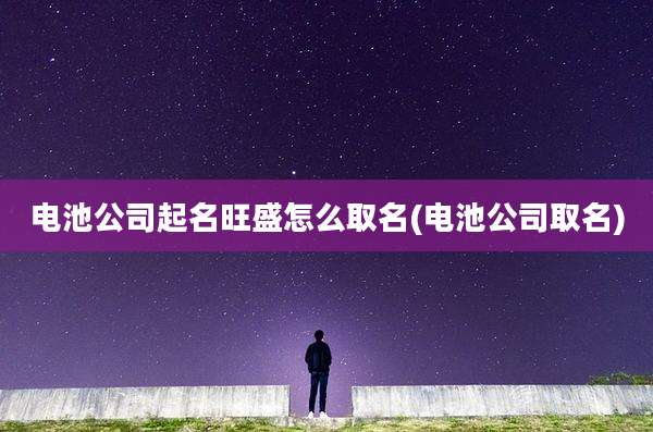 电池公司起名旺盛怎么取名(电池公司取名)