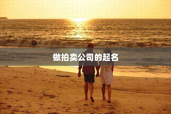 做拍卖公司的起名
