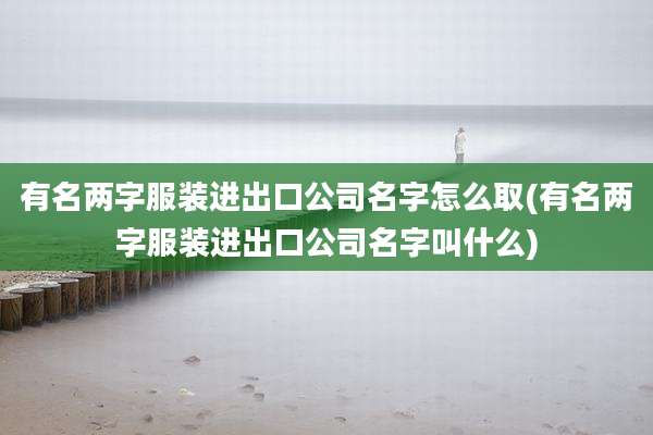 有名两字服装进出口公司名字怎么取(有名两字服装进出口公司名字叫什么)