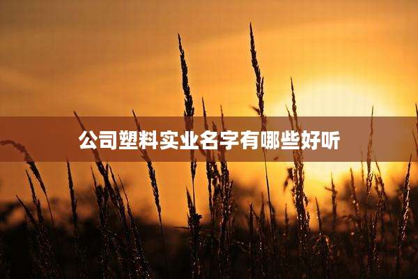 公司塑料实业名字有哪些好听